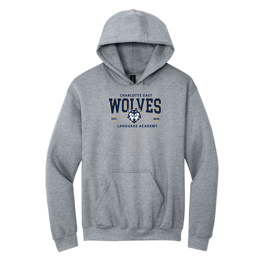 Adult Collegiate hoodie