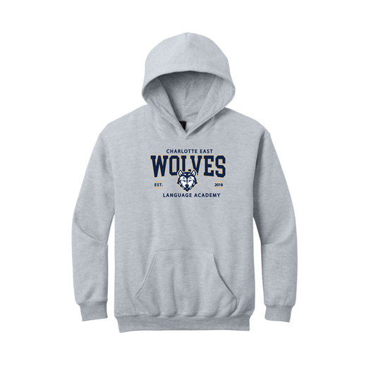 Youth Collegiate hoodie